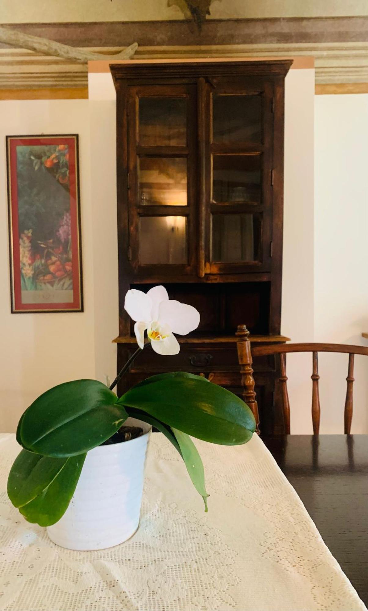 דירות אסטי Cascina Ambrosia Residenza D'Epoca מראה חיצוני תמונה